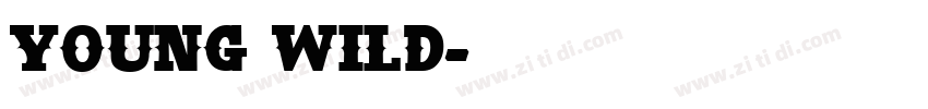 Young Wild字体转换
